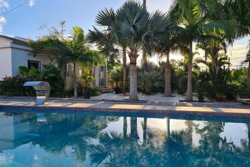 Tropical Paradise Villa In Torrevieja Eksteriør bilde