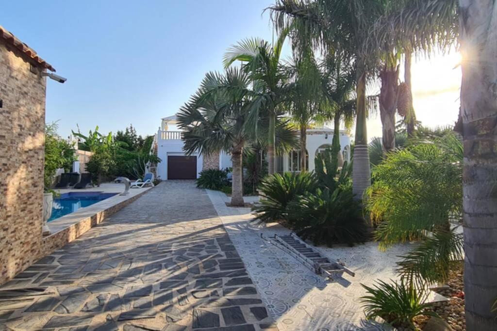 Tropical Paradise Villa In Torrevieja Eksteriør bilde