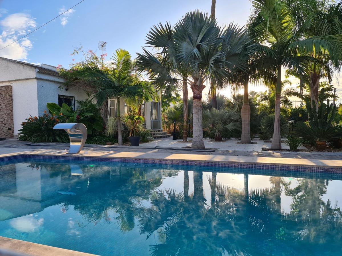 Tropical Paradise Villa In Torrevieja Eksteriør bilde