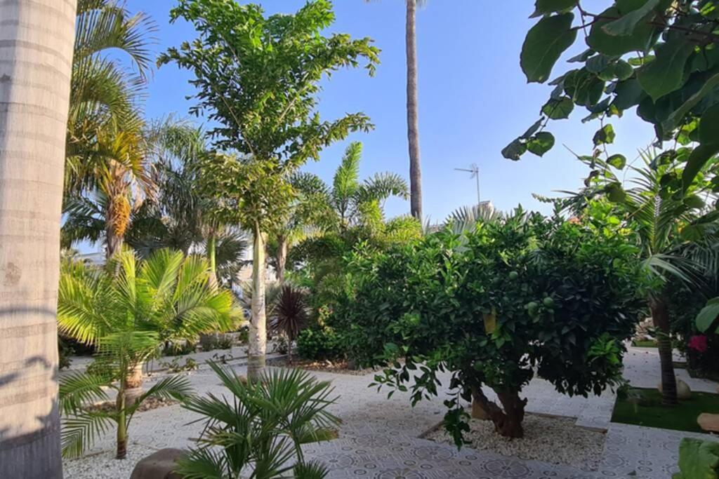 Tropical Paradise Villa In Torrevieja Eksteriør bilde