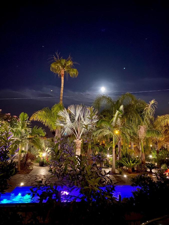 Tropical Paradise Villa In Torrevieja Eksteriør bilde